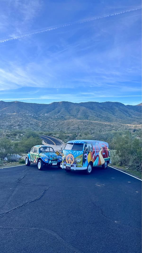 1957 Volkswagen Bus (T2 transport) & beetle