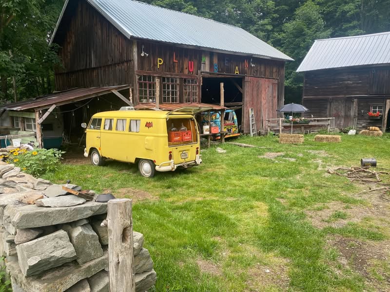 1967 Volkswagen bus