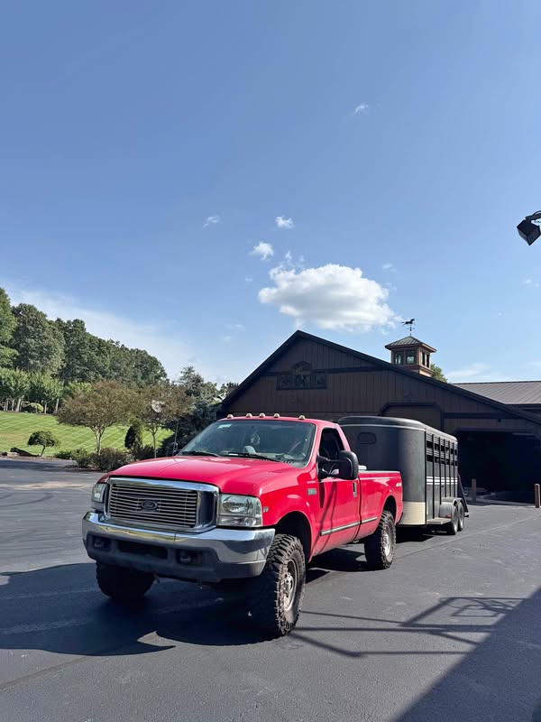 1999 Ford F250 Super Duty Regular Cab - XLT Pickup 2D 8 ft