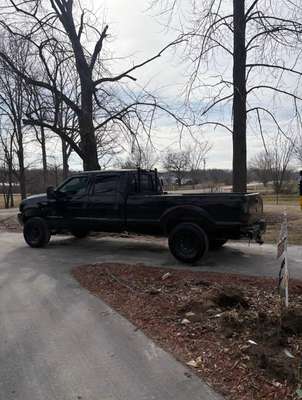 2002 Ford F250 Super Duty Crew Cab - XLT Pickup 4D 8 ft