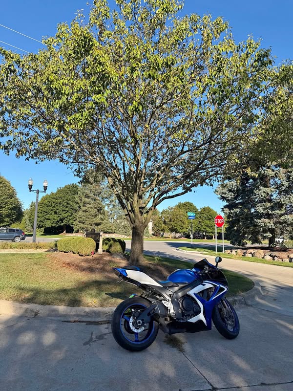 2006 Suzuki GSX-R