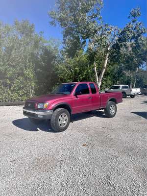 1998 Toyota Tacoma - Pickup
