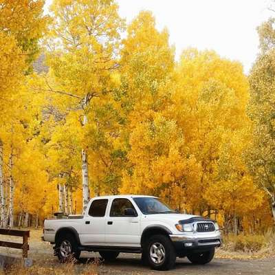 2004 Toyota Tacoma Double Cab - PreRunner Pickup 4D 5 ft