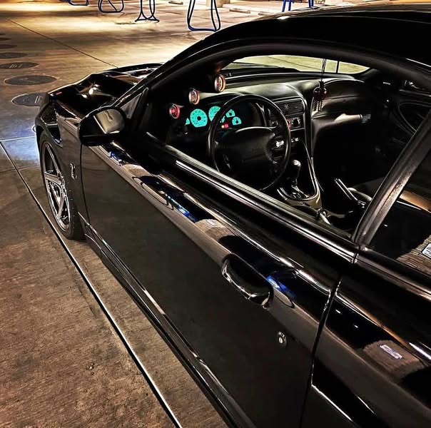 2003 Ford Mustang - Cobra SVT Coupe 2D