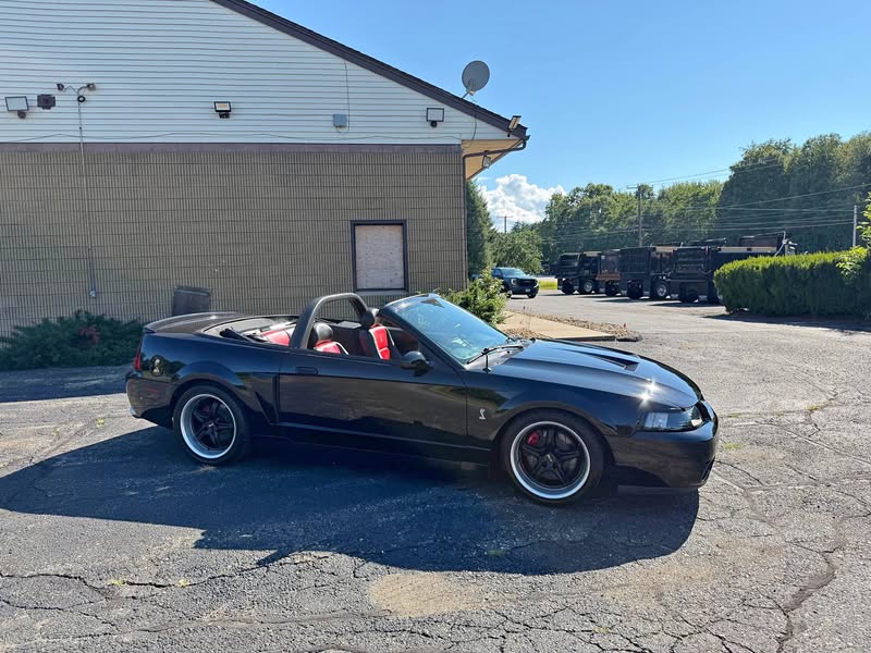 2003 Ford Mustang - Cobra SVT Convertible 2D