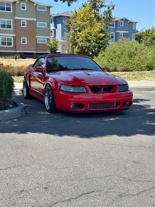 2003 Ford Mustang - Cobra SVT