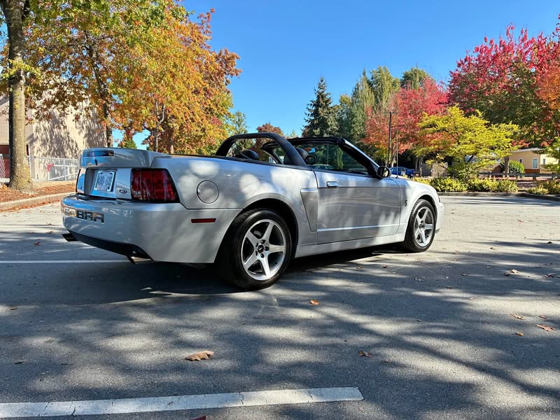 2003 Ford Mustang - Cobra SVT Convertible 2D