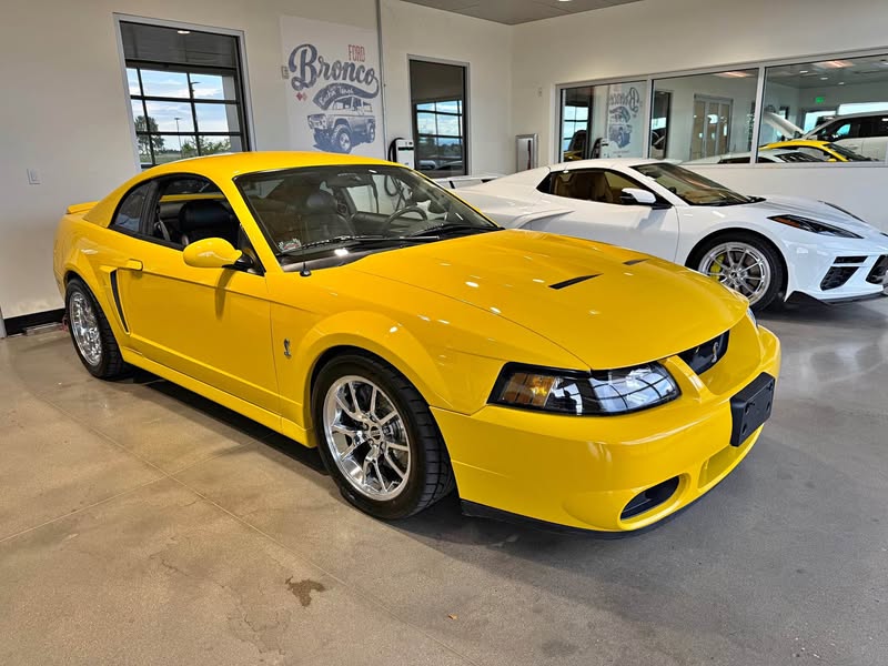 2004 Ford Mustang - Cobra SVT Coupe 2D