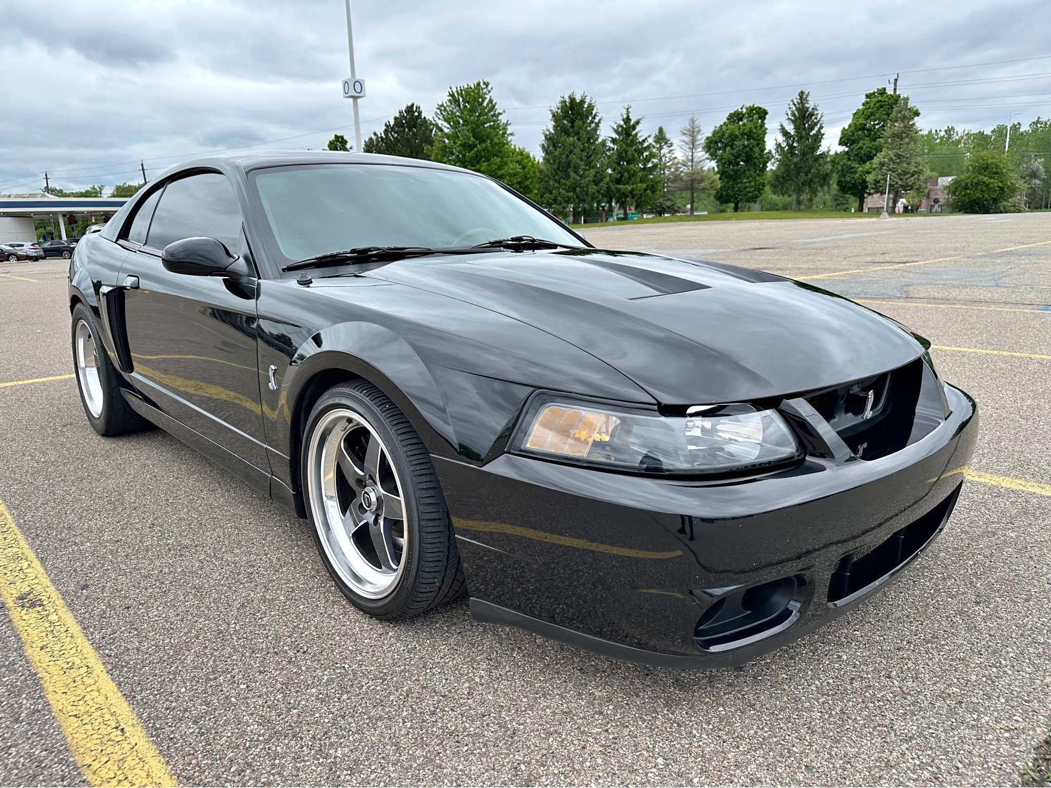 2003 Ford Mustang - Cobra SVT Coupe 2D