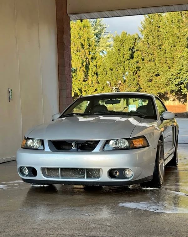 2003 Ford Mustang - Cobra SVT Coupe 2D