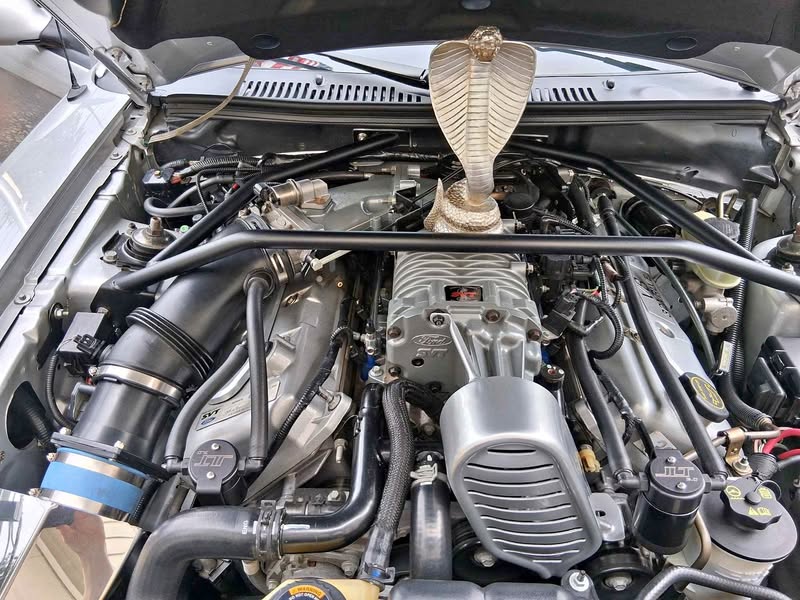 2003 Ford Mustang - Shelby GT500 Cobra Convertible 2D