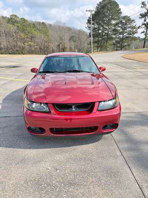 2003 Ford Mustang - Cobra