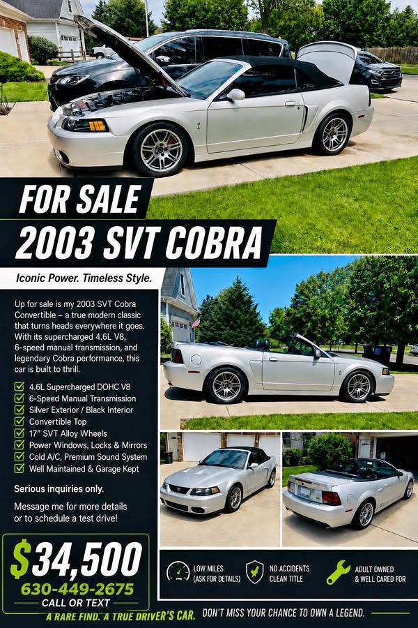 2003 Ford Mustang - Cobra SVT Convertible 2D