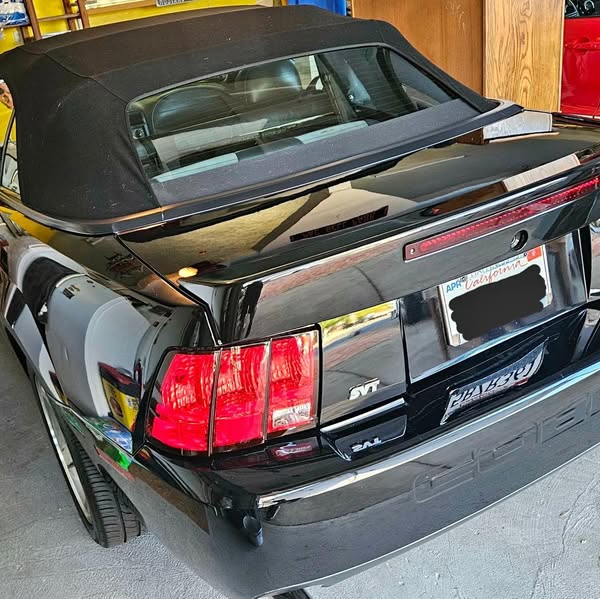 2003 Ford Mustang Cobra SVT Terminator