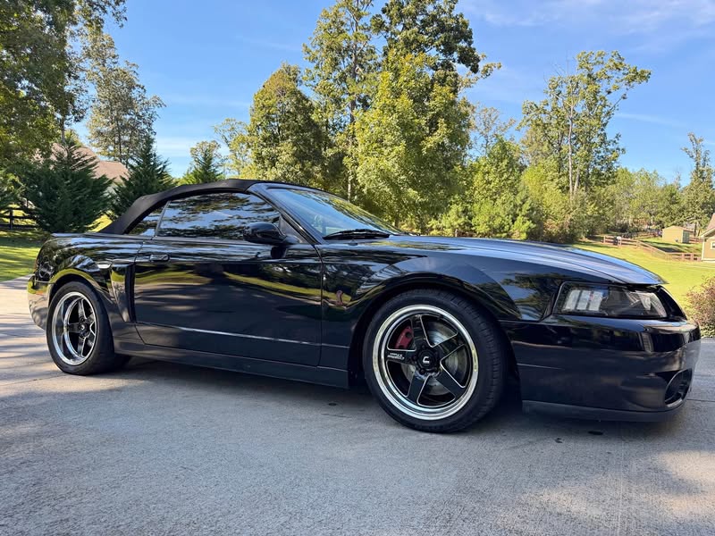 2003 Ford Mustang - Cobra SVT Convertible 2D
