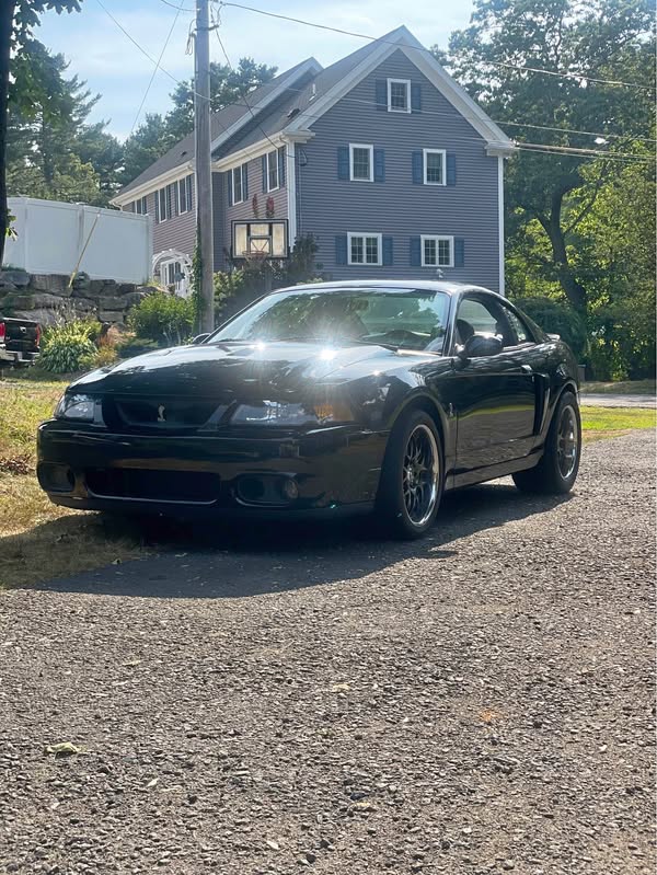 2004 Ford Mustang - Terminator Cobra