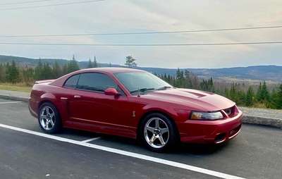 2004 Ford Mustang - Cobra Coupe 2D