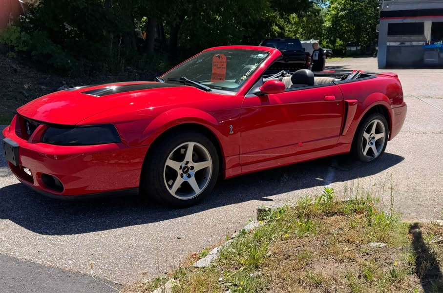 2003 Ford mustang cobra svt