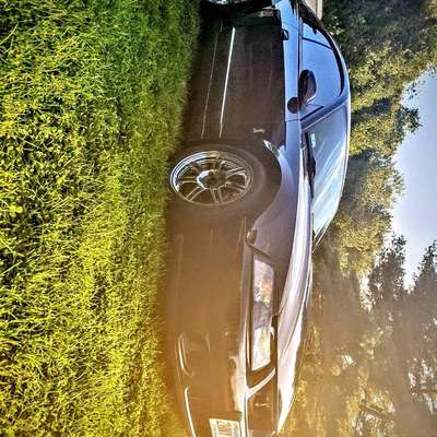 2003 Ford Mustang - Cobra SVT Coupe 2D