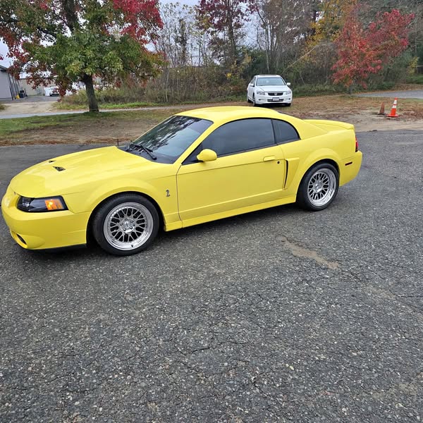 2003 Ford Mustang - Cobra Coupe 2D