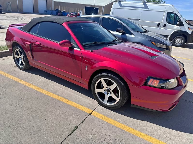 2003 Ford Mustang - Cobra SVT Convertible 2D