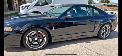 2003 Ford Mustang - Cobra SVT Coupe 2D