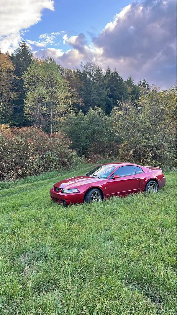 2004 Ford Mustang - Cobra SVT Coupe 2D
