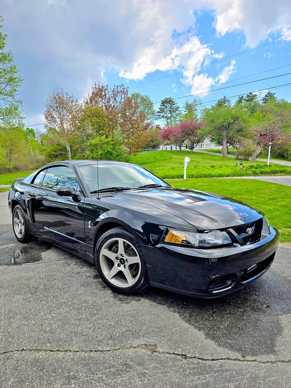 2003 Ford Mustang - Cobra SVT Coupe 2D