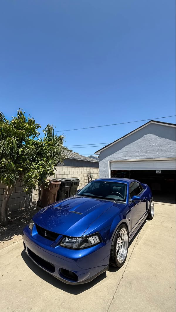 2003 Ford Mustang - Cobra SVT Coupe 2D