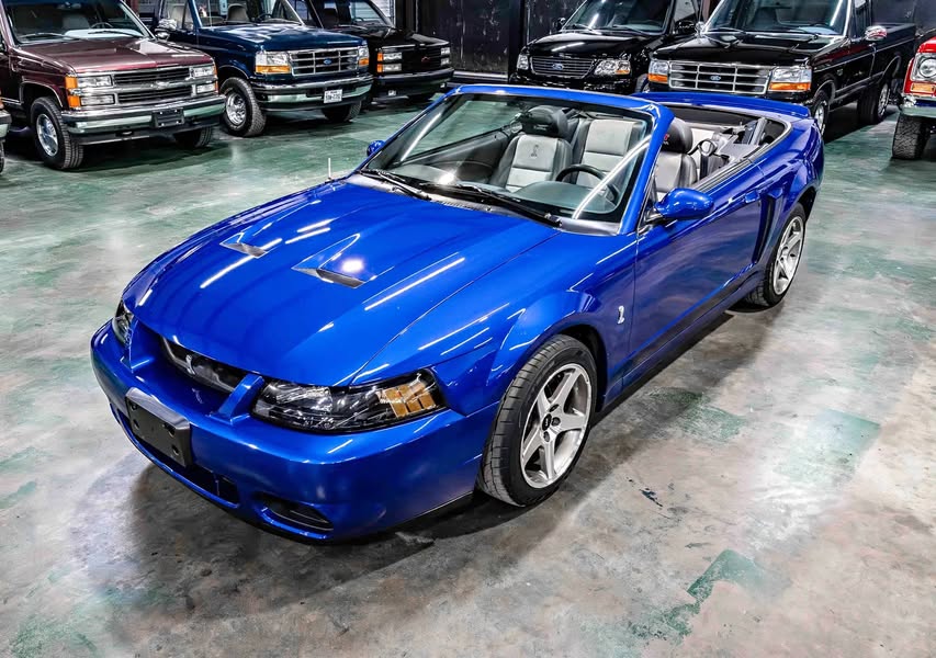 2003 Ford Mustang SVT Cobra