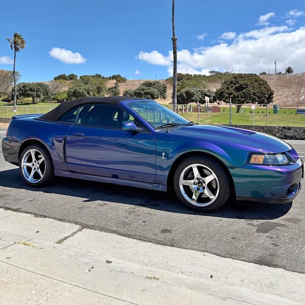 2004 Ford Mustang - Cobra SVT Convertible 2D