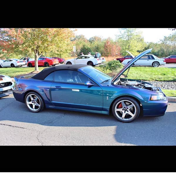 2004 ford mustang cobra terminator mystichrome