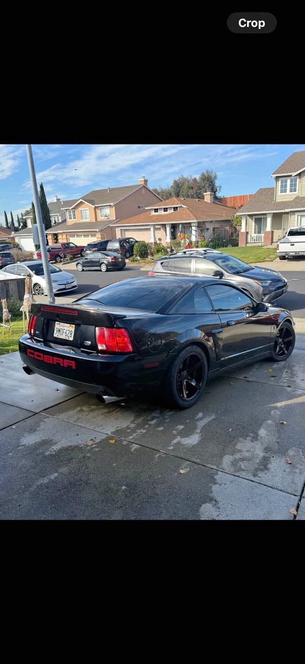 2004 Ford Mustang - Cobra Coupe 2D