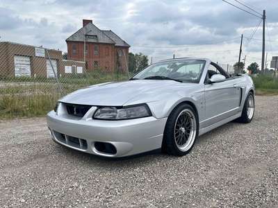 2003 Ford Mustang - Cobra SVT Convertible 2D