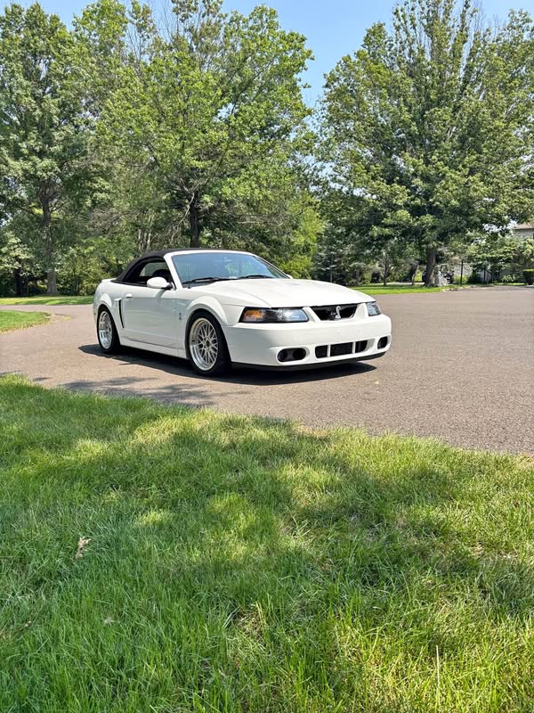 2004 Ford Mustang - Cobra SVT Convertible 2D