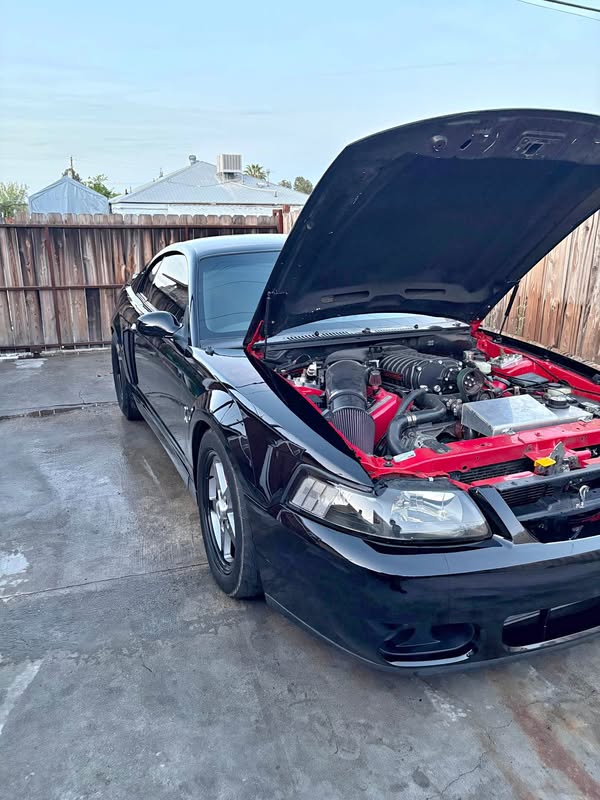 2004 Ford Mustang - Cobra SVT Coupe 2D
