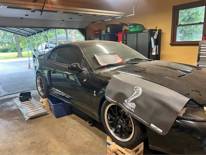 2004 Ford Mustang - Cobra SVT Coupe 2D