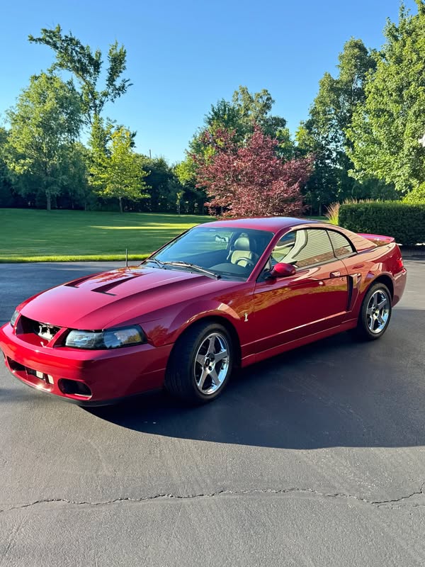 2003 Ford mustang cobra