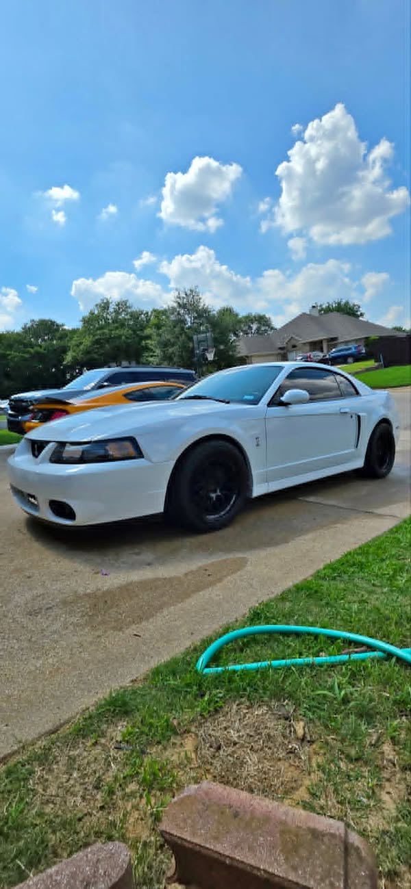 2003 Ford mustang cobra