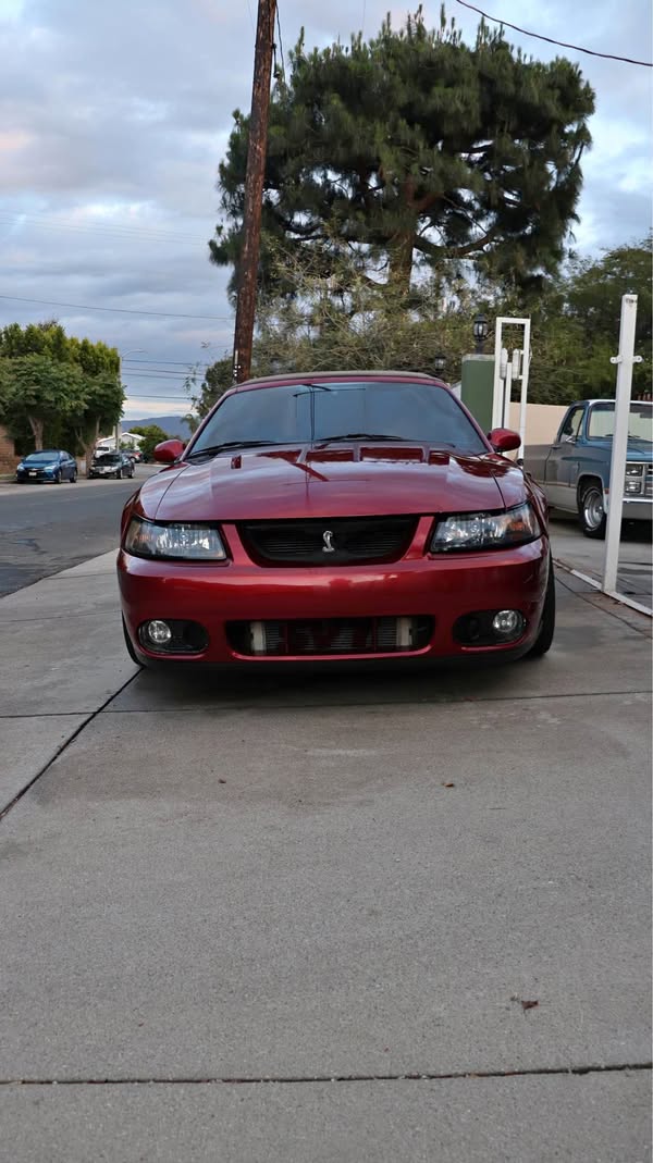 2003 Ford Mustang - SVT cobra