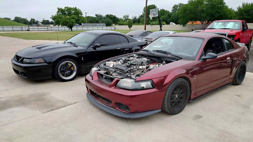 2003 Ford Mustang - Cobra SVT Coupe 2D