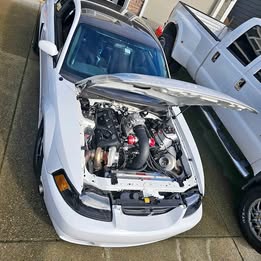 2003 Ford Mustang - Cobra Coupe 2D