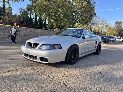 2003 Ford Mustang - Cobra Convertible 2D