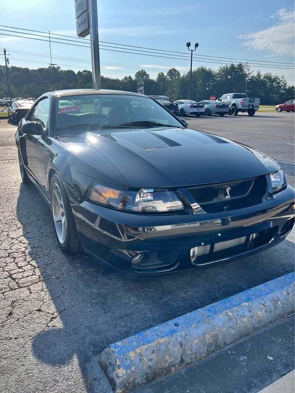 2003 Ford Mustang  - Cobra SVT