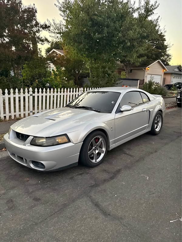 2003 Ford Mustang - Cobra SVT Coupe 2D