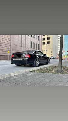 2004 Ford Mustang - Cobra SVT Coupe 2D