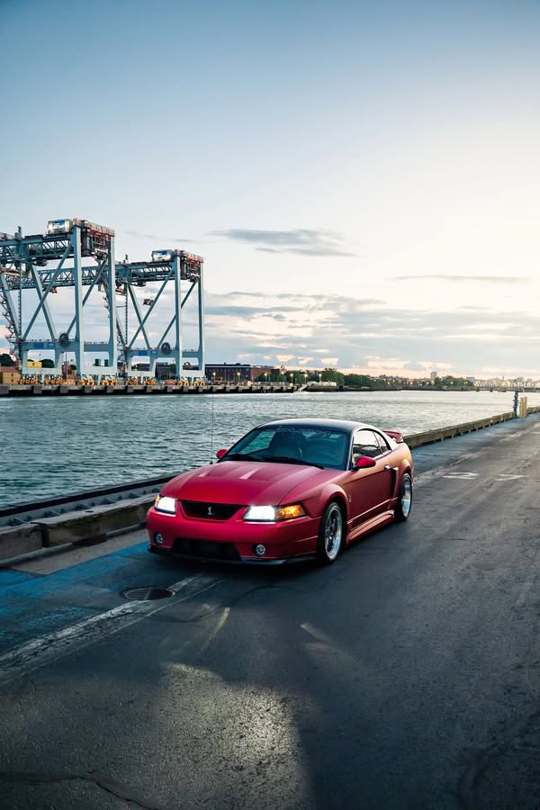 2003 Ford Mustang Cobra SVT Roush