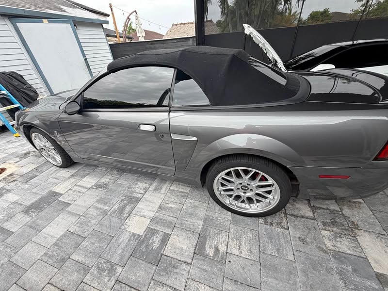 2003 Ford Mustang - Cobra SVT Convertible 2D