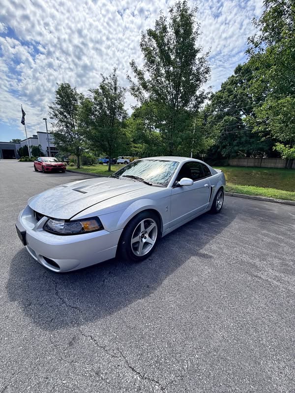 2003 Ford Mustang - Cobra SVT Coupe 2D