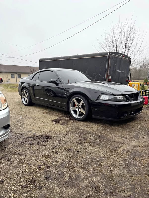 2003 Ford Mustang - SVT Cobra 10th anniversary
